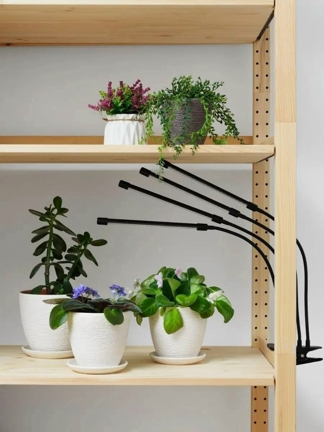 Фитолампа для растений купить в Интернет-магазине Садовод База - цена 450 руб Садовод интернет-каталог