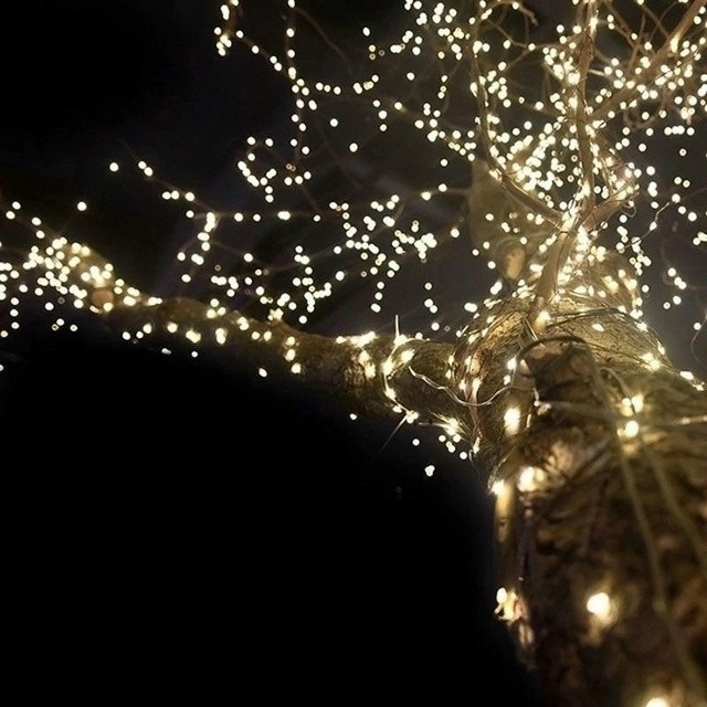 Гирлянда купить в Интернет-магазине Садовод База - цена 1000 руб Садовод интернет-каталог