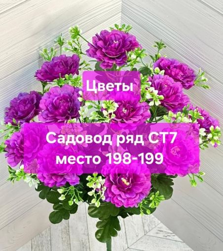 ЦВЕТЫ Садовод