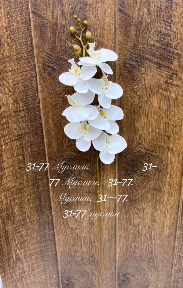 цветы купить в Интернет-магазине Садовод База - цена 6800 руб Садовод интернет-каталог