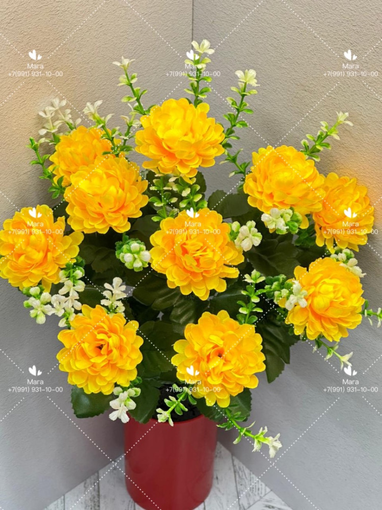 Цветы купить в Интернет-магазине Садовод База - цена 2000 руб Садовод интернет-каталог