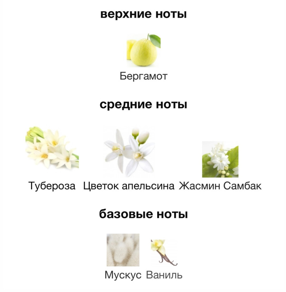 Парфюм купить в Интернет-магазине Садовод База - цена 1800 руб Садовод интернет-каталог