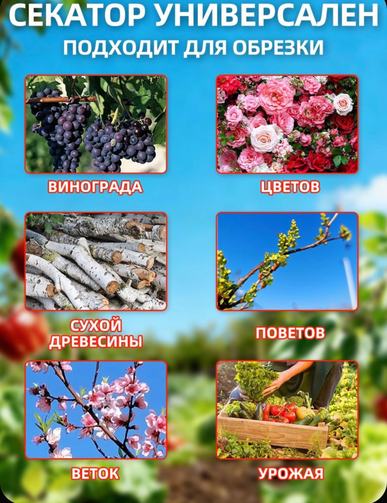 Секатор купить в Интернет-магазине Садовод База - цена 350 руб Садовод интернет-каталог