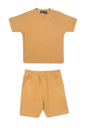 V-BGH2604170225 САДОВОД официальный интернет-каталог