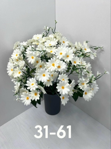 Название:«Ромашка»Букет    Количество голов:18-Веток САДОВОД официальный интернет-каталог