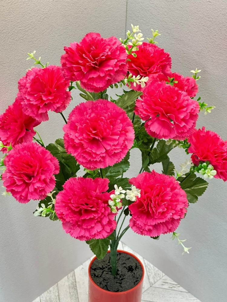 цветы купить в Интернет-магазине Садовод База - цена 95 руб Садовод интернет-каталог