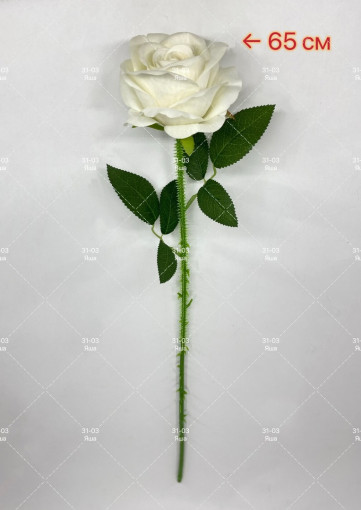 белая роза САДОВОД официальный интернет-каталог