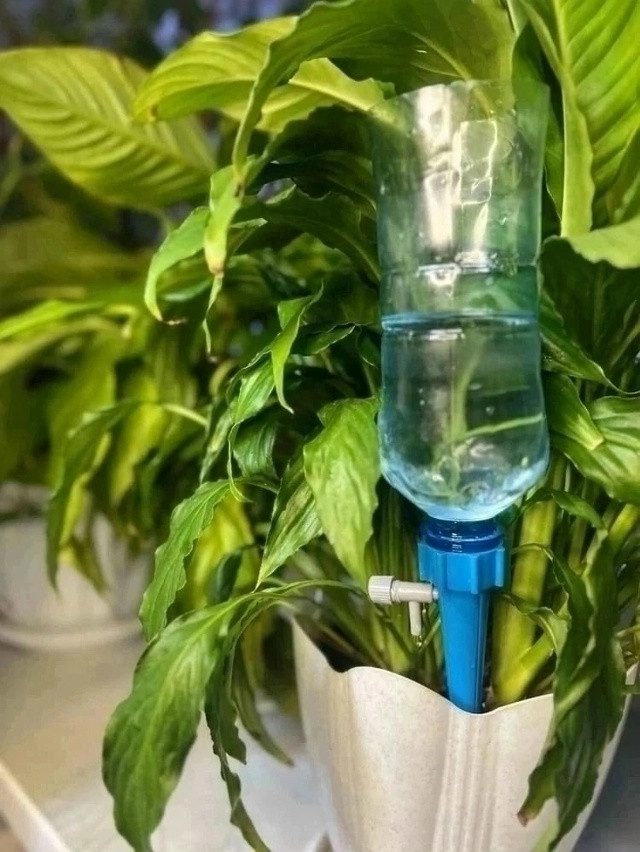 Система капельный полив купить в Интернет-магазине Садовод База - цена 100 руб Садовод интернет-каталог