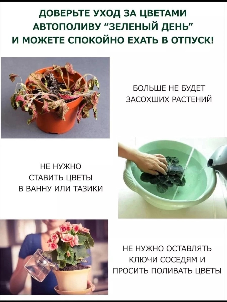 Автополив для комнатных растений купить в Интернет-магазине Садовод База - цена 150 руб Садовод интернет-каталог