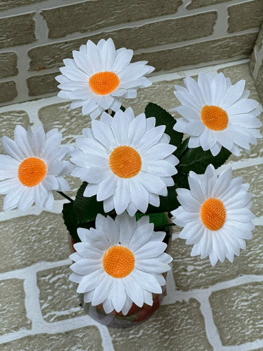 цветы САДОВОД официальный интернет-каталог