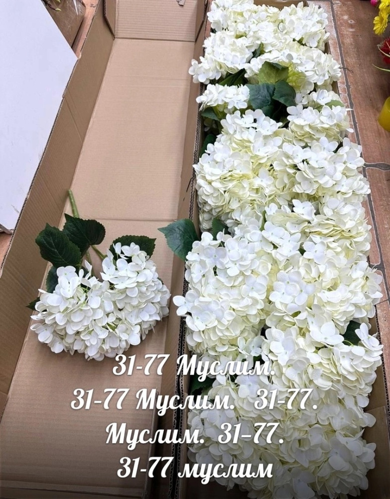 цветы купить в Интернет-магазине Садовод База - цена 6000 руб Садовод интернет-каталог