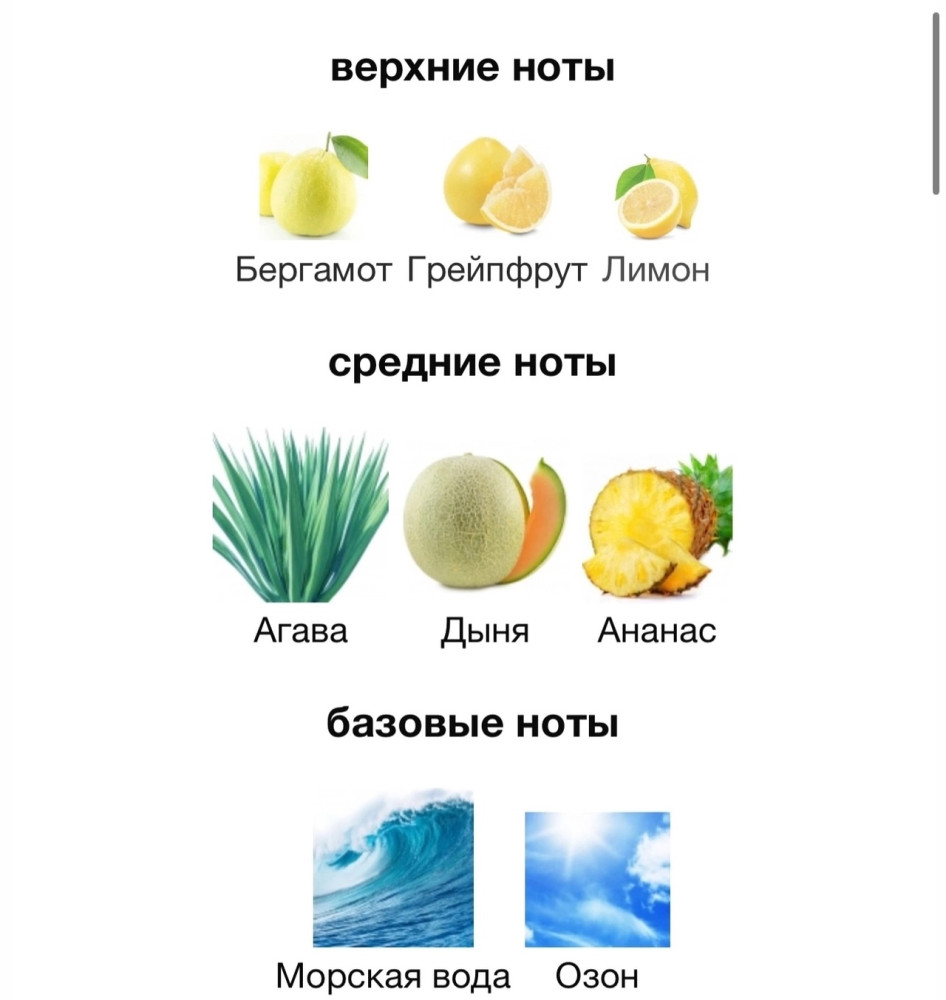 парфюм купить в Интернет-магазине Садовод База - цена 1200 руб Садовод интернет-каталог