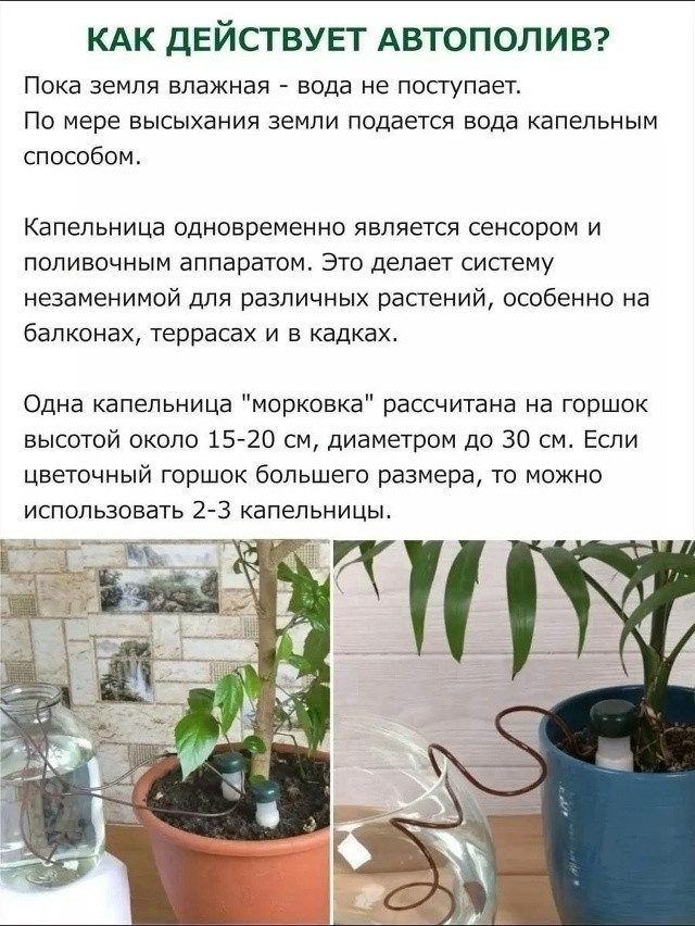 Автополив для комнатных растений и теплиц купить в Интернет-магазине Садовод База - цена 100 руб Садовод интернет-каталог