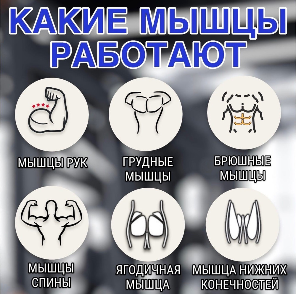 Ролик для пресса купить в Интернет-магазине Садовод База - цена 950 руб Садовод интернет-каталог