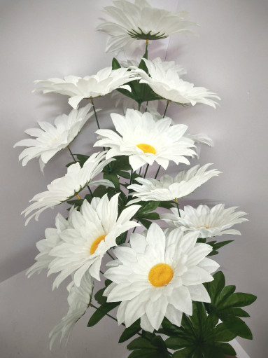 цветы САДОВОД официальный интернет-каталог