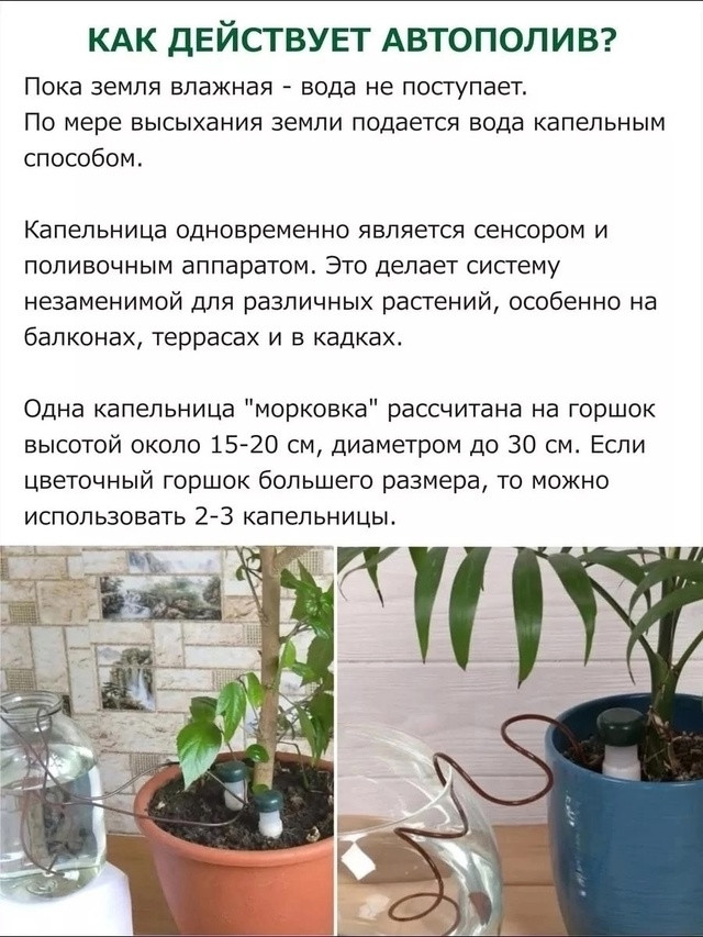 Автополив для комнатных растений и теплиц купить в Интернет-магазине Садовод База - цена 150 руб Садовод интернет-каталог