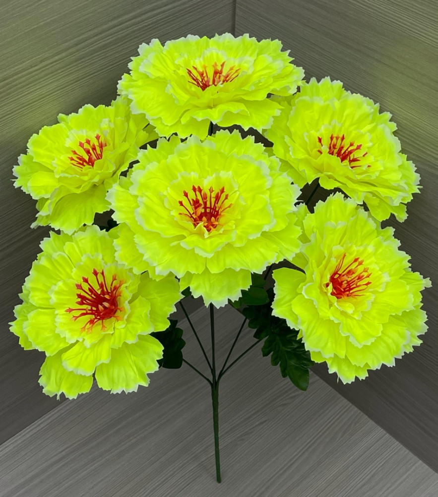 цветы купить в Интернет-магазине Садовод База - цена 55 руб Садовод интернет-каталог