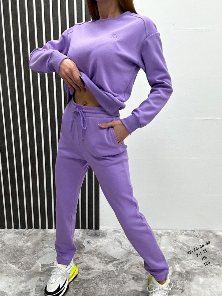 Спортивный женский костюм фиолетовый купить в Интернет-магазине Садовод База - цена 1250 руб Садовод интернет-каталог