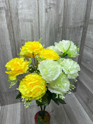 Гвоздика САДОВОД официальный интернет-каталог