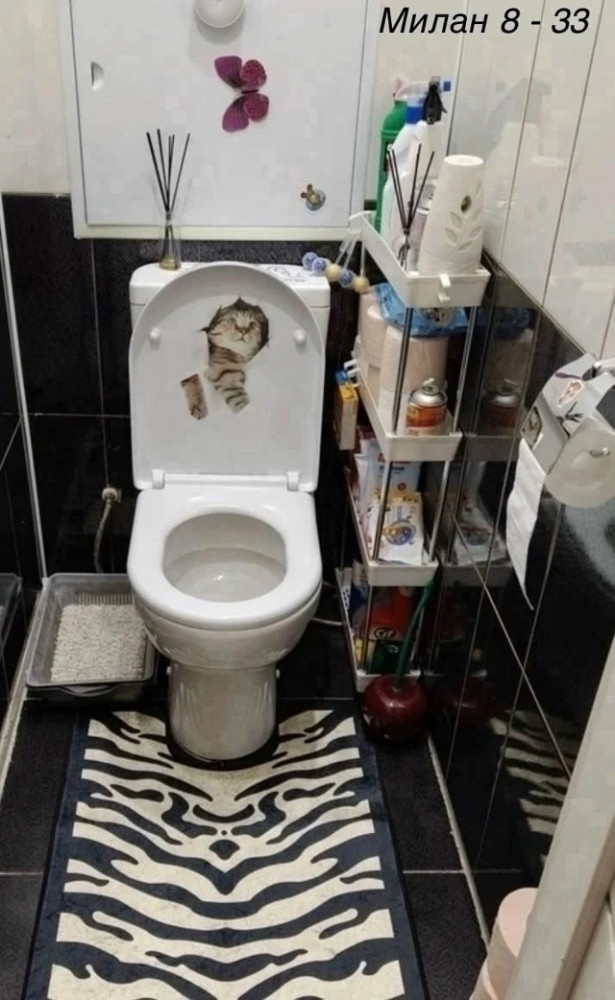 Передвижная полка купить в Интернет-магазине Садовод База - цена 449 руб Садовод интернет-каталог