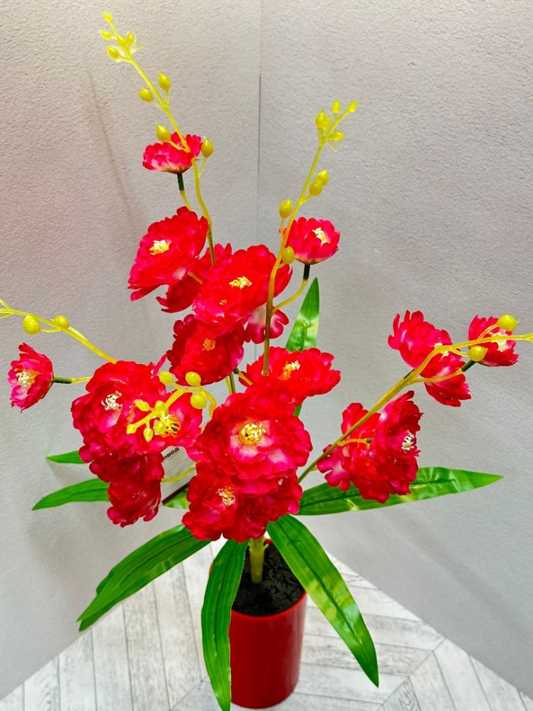 цветы купить в Интернет-магазине Садовод База - цена 110 руб Садовод интернет-каталог