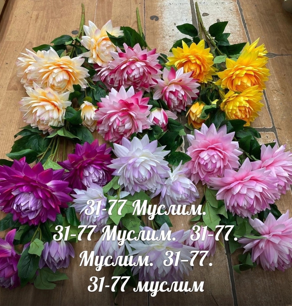 цветы купить в Интернет-магазине Садовод База - цена 3960 руб Садовод интернет-каталог