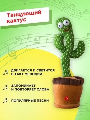 Танцующий кактус купить в Интернет-магазине Садовод База - цена 200 руб Садовод интернет-каталог