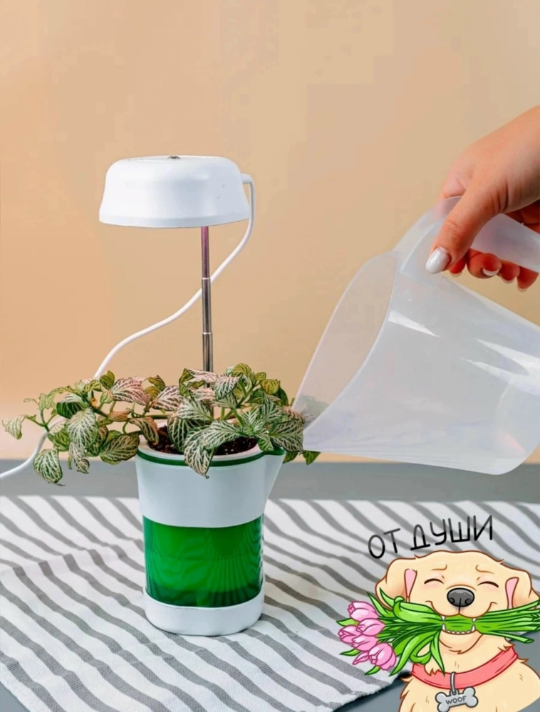 Фитолампа купить в Интернет-магазине Садовод База - цена 299 руб Садовод интернет-каталог