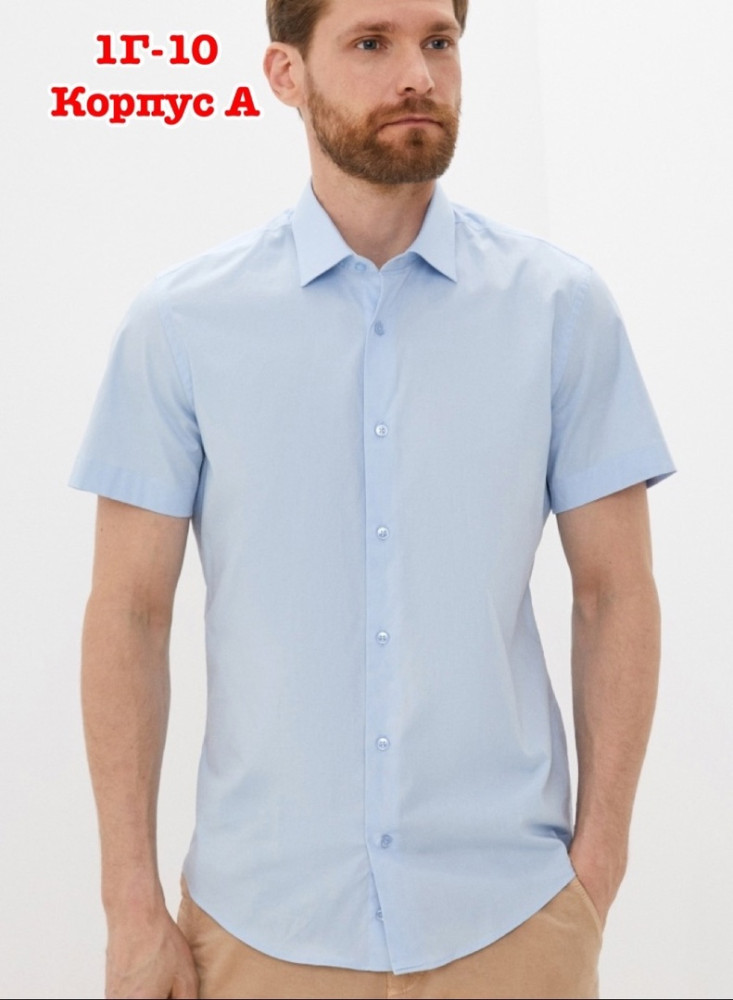 Мужская рубашка голубая купить в Интернет-магазине Садовод База - цена 550 руб Садовод интернет-каталог