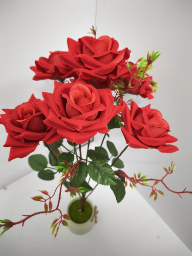 цветы САДОВОД официальный интернет-каталог