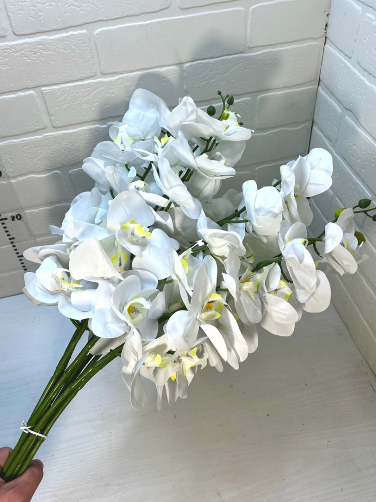 Орхидея ветка 10шт купить в Интернет-магазине Садовод База - цена 1000 руб Садовод интернет-каталог
