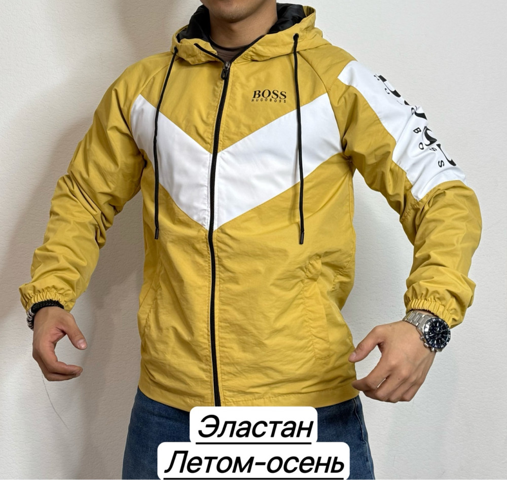 Ветровка для мужчин, эластан купить в Интернет-магазине Садовод База - цена 900 руб Садовод интернет-каталог