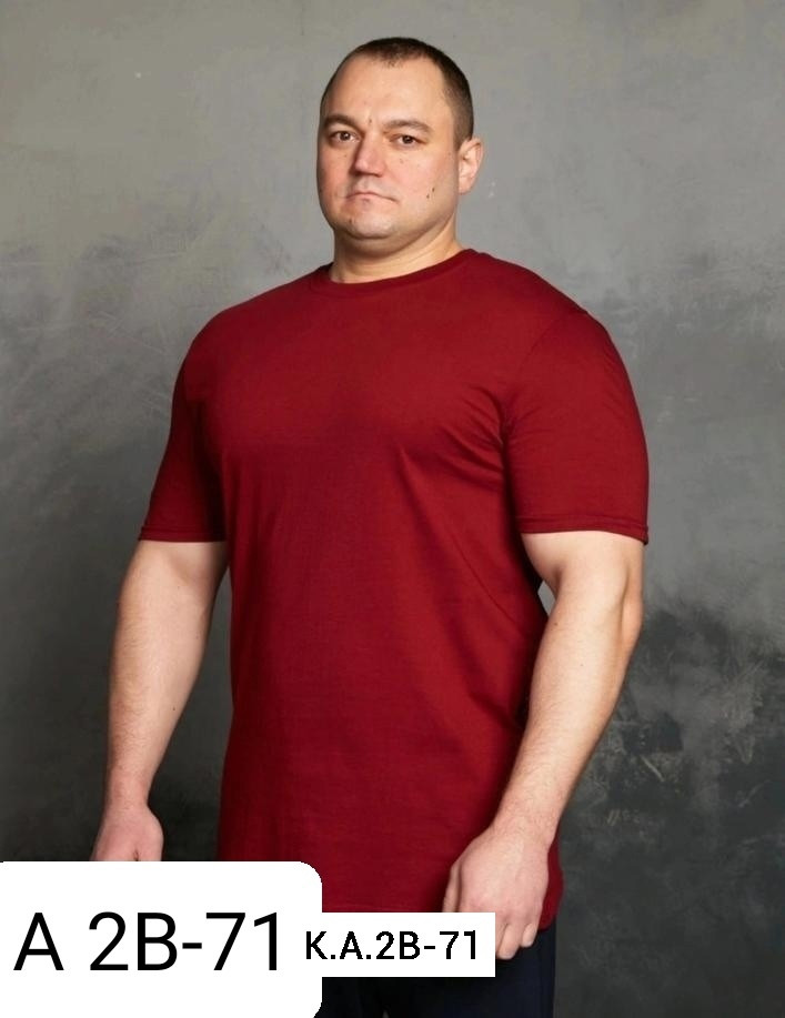 Мужская футболка красная купить в Интернет-магазине Садовод База - цена 250 руб Садовод интернет-каталог