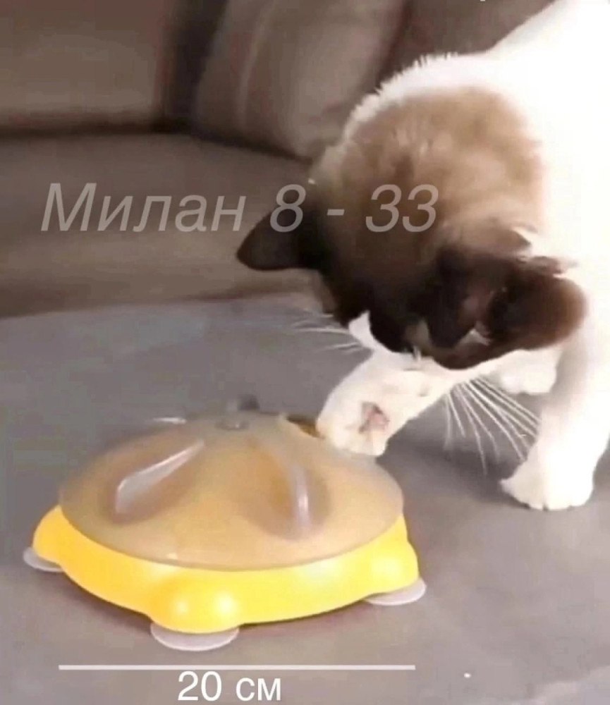 💥 Интерактивная Кормушка Для Кошек. купить в Интернет-магазине Садовод База - цена 250 руб Садовод интернет-каталог