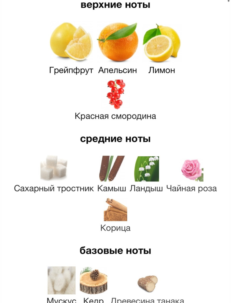 парфюм купить в Интернет-магазине Садовод База - цена 400 руб Садовод интернет-каталог