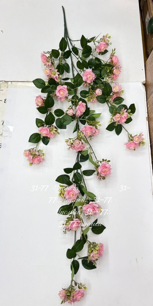 цветы купить в Интернет-магазине Садовод База - цена 550 руб Садовод интернет-каталог