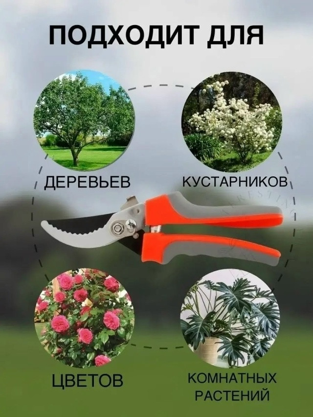 Секатор садовый купить в Интернет-магазине Садовод База - цена 180 руб Садовод интернет-каталог