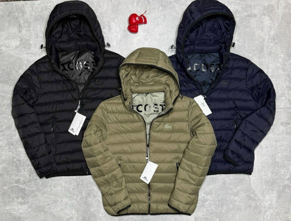 Ветровка для мужчин, холлофайбер купить в Интернет-магазине Садовод База - цена 2500 руб Садовод интернет-каталог