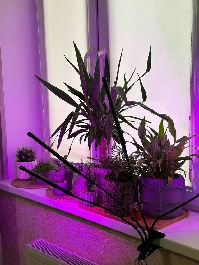 Фитолампа для растений купить в Интернет-магазине Садовод База - цена 450 руб Садовод интернет-каталог