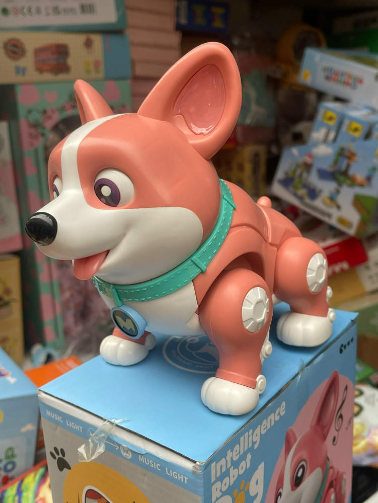 Робот Корги купить в Интернет-магазине Садовод База - цена 500 руб Садовод интернет-каталог