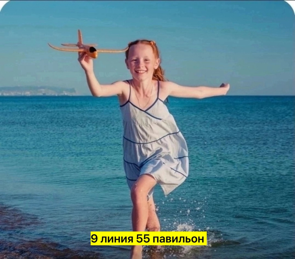 Игрушечный самолeт-планер купить в Интернет-магазине Садовод База - цена 100 руб Садовод интернет-каталог