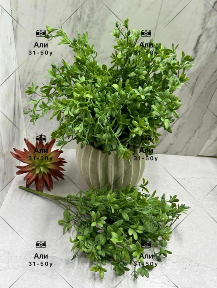 Искусственные цветы для мужчин, латекс купить в Интернет-магазине Садовод База - цена 1000 руб Садовод интернет-каталог