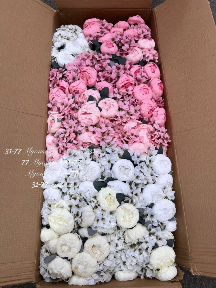 цветы купить в Интернет-магазине Садовод База - цена 9000 руб Садовод интернет-каталог