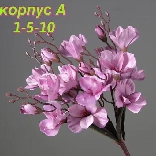 💐1 букет : 5 голов, 20 цветов САДОВОД официальный интернет-каталог