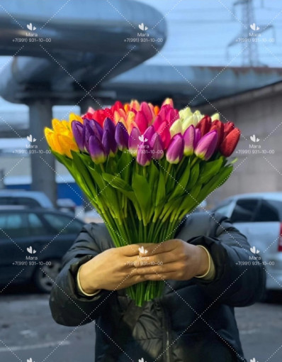 Тюльпаны САДОВОД официальный интернет-каталог