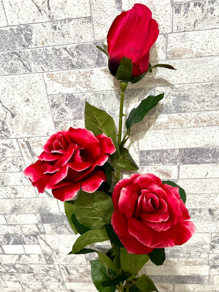 Роза ветка 3г 10шт купить в Интернет-магазине Садовод База - цена 1000 руб Садовод интернет-каталог