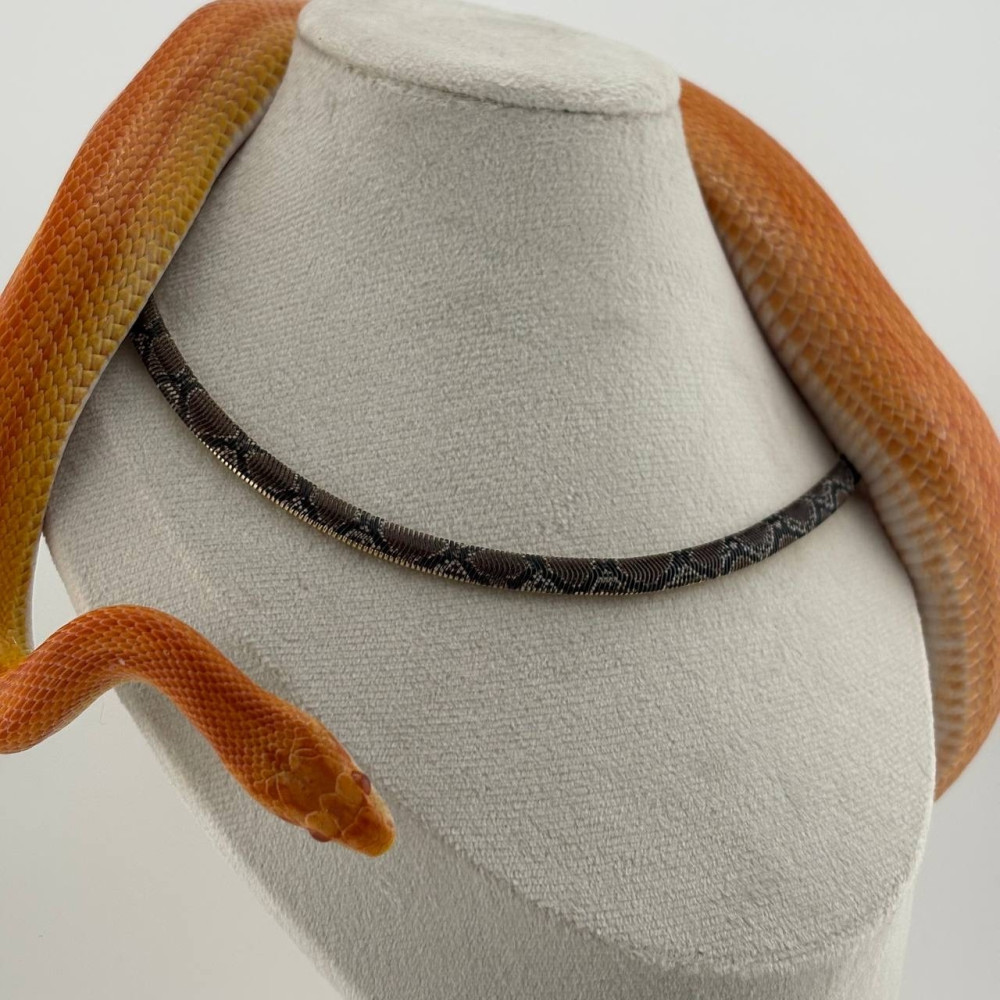 🐍 Колье с змеиным принтом «Лина» купить в Интернет-магазине Садовод База - цена 250 руб Садовод интернет-каталог