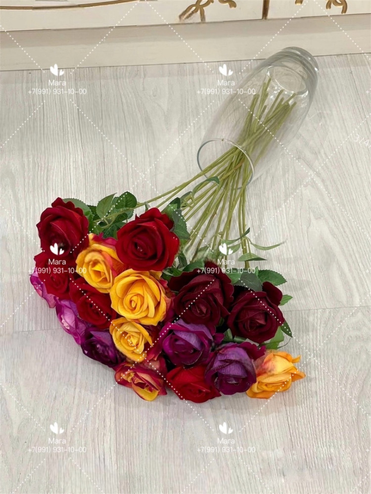 Роза цветная бархатная купить в Интернет-магазине Садовод База - цена 4200 руб Садовод интернет-каталог