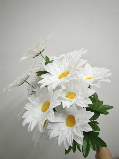 цветы САДОВОД официальный интернет-каталог