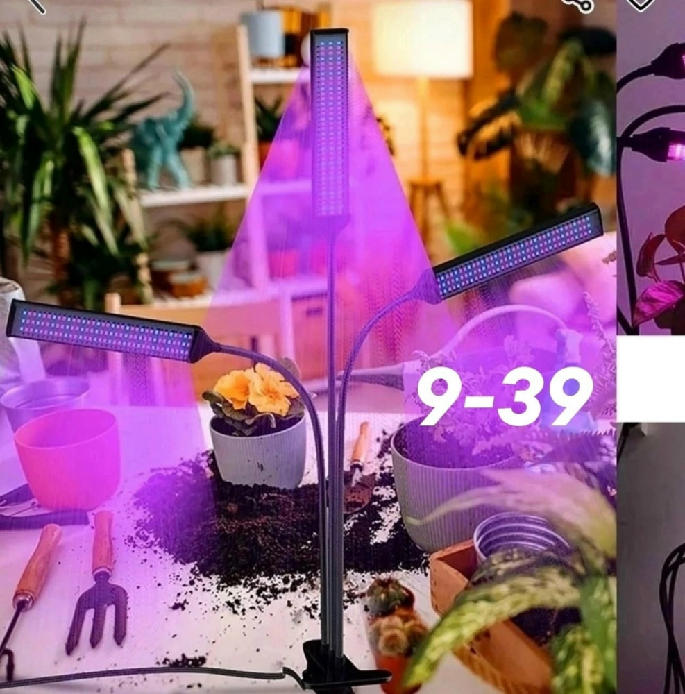 Фитолампа для растений купить в Интернет-магазине Садовод База - цена 650 руб Садовод интернет-каталог